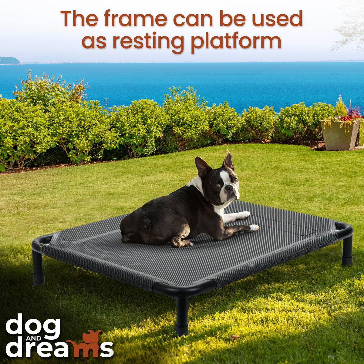 Boston terrier lying on the dog bed's raised mesh frame on a lawn by the sea